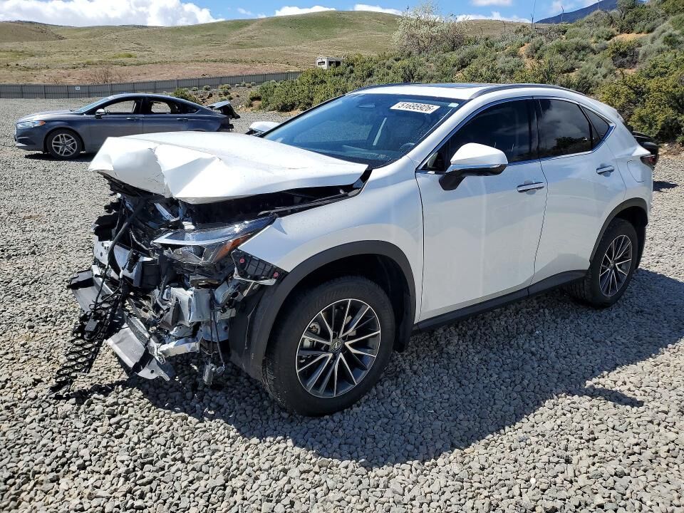 2025 LEXUS NX
