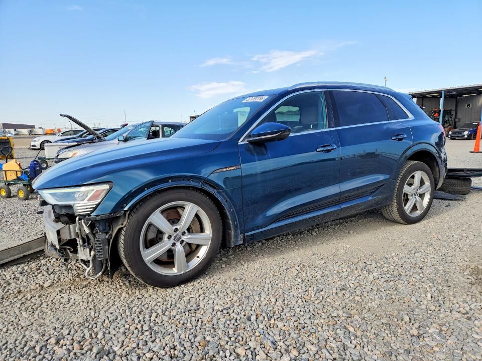 2019 AUDI e-tron