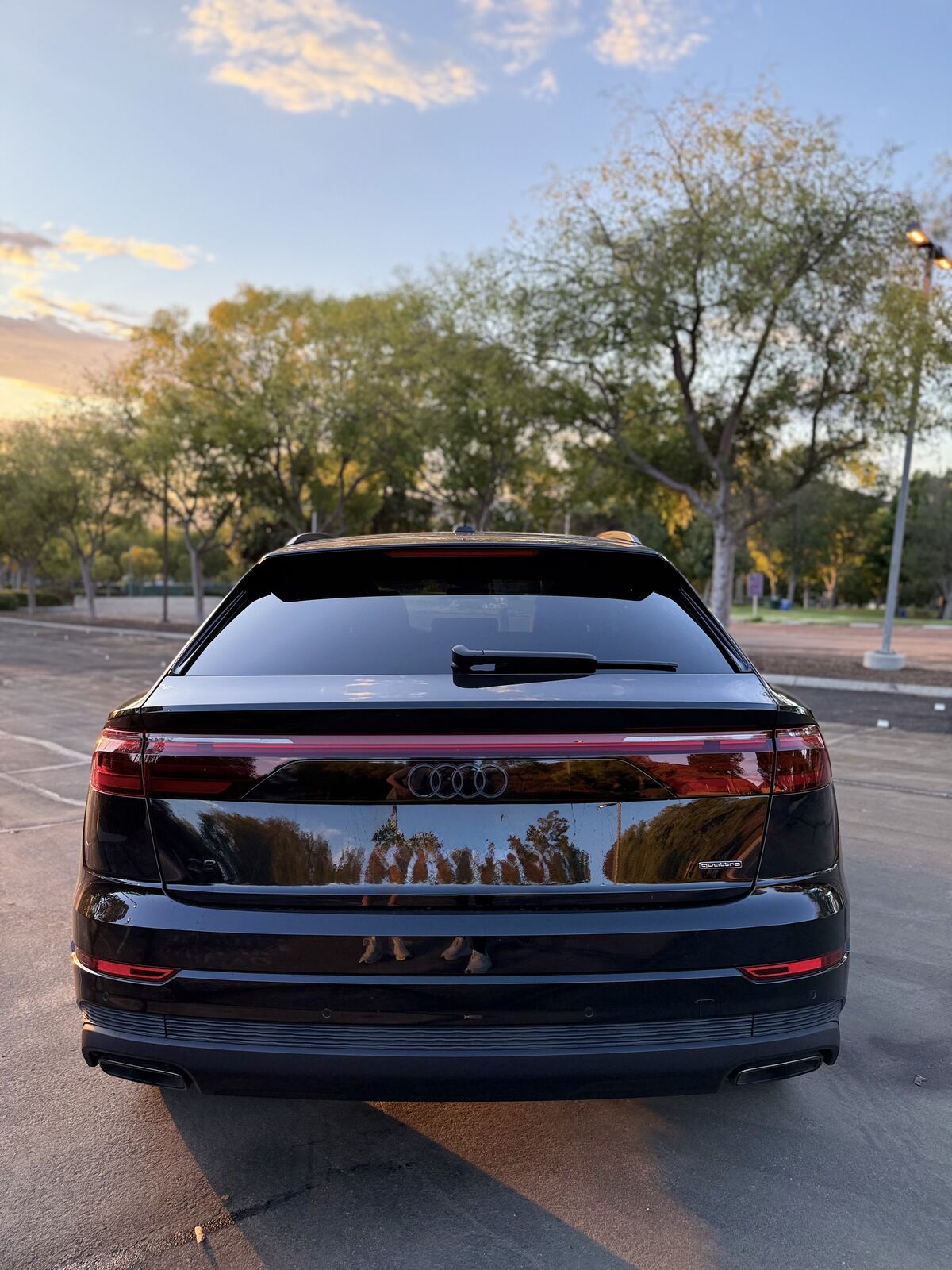 2025 AUDI Q8