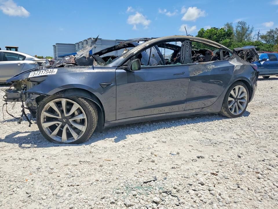 2019 TESLA Model 3