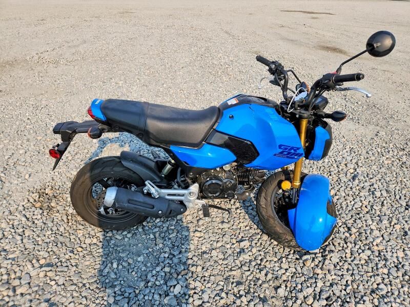 2025 HONDA MSX125