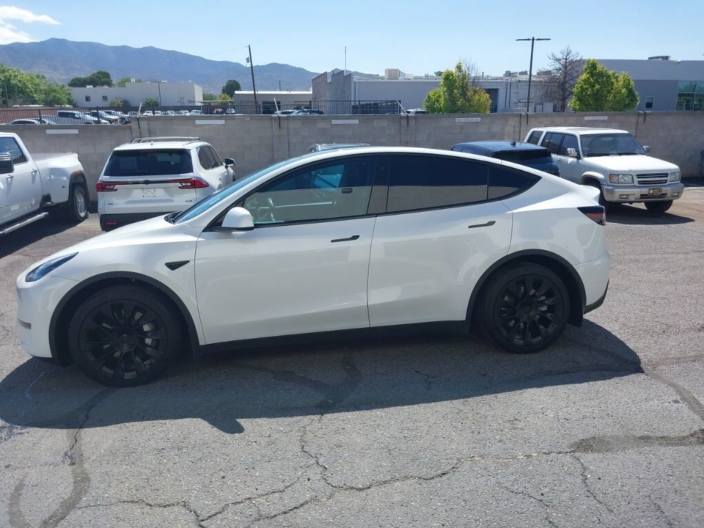 2020 TESLA Model Y