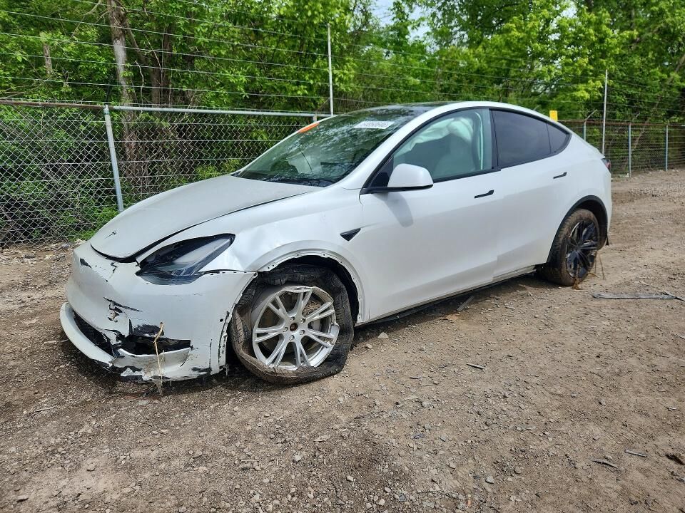 2021 TESLA Model Y