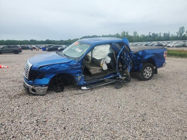 2010 FORD F-150