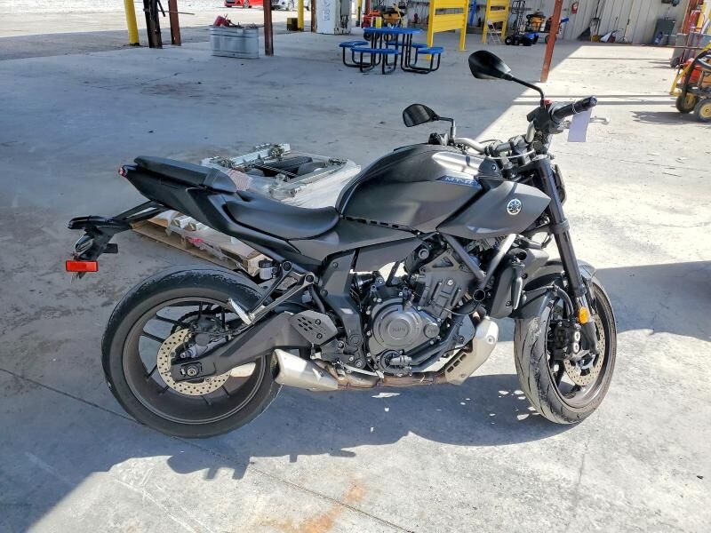 2025 YAMAHA MTN690