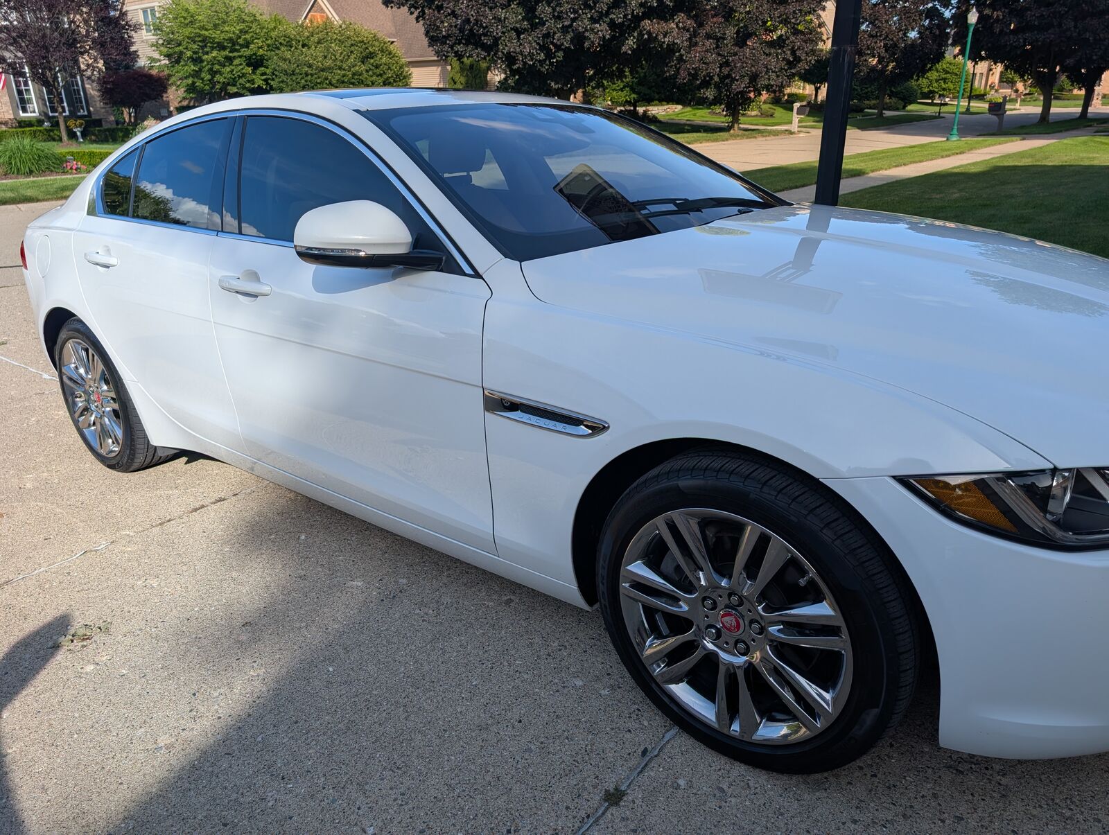 2019 JAGUAR XE