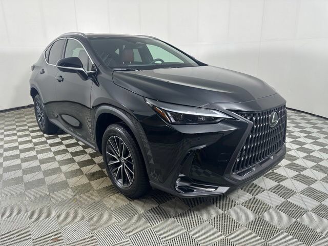 2024 LEXUS NX