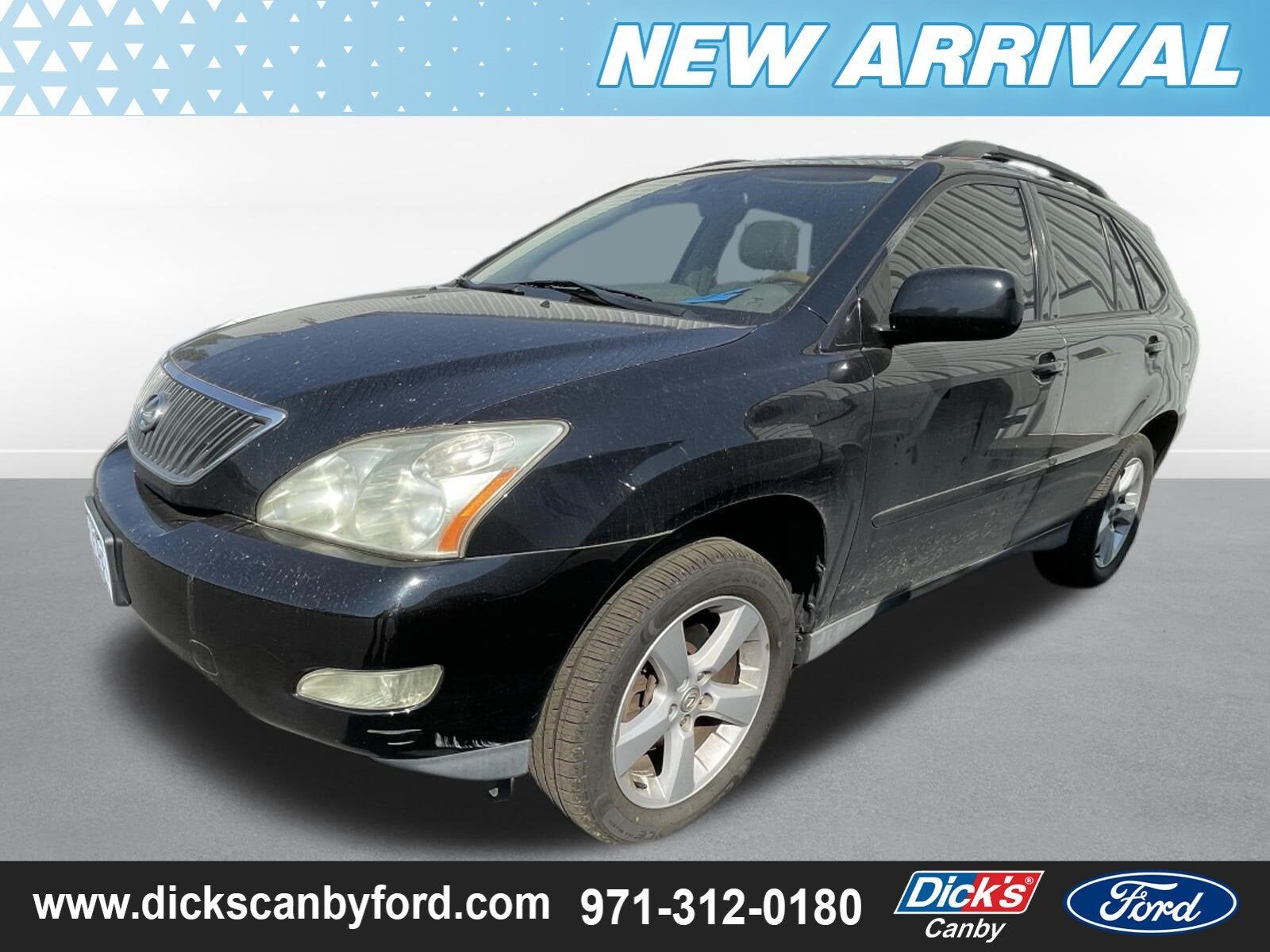 2006 LEXUS RX