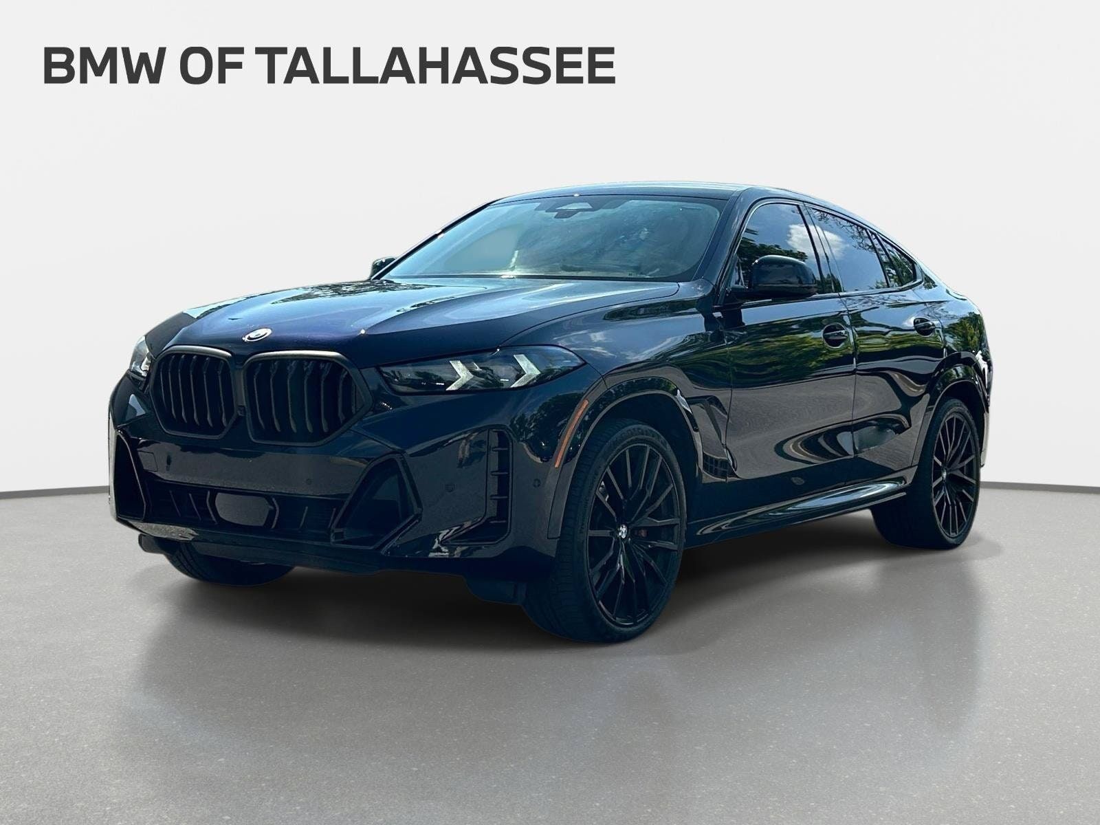 2024 BMW X6