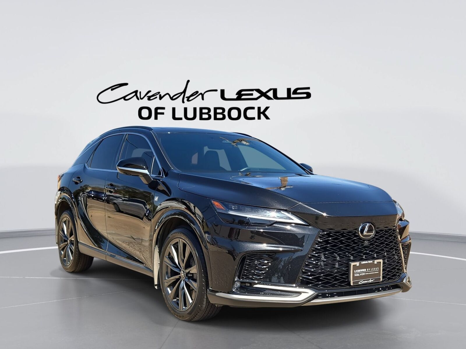 2024 LEXUS RX