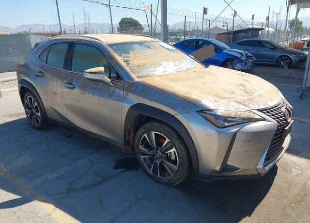 2019 LEXUS UX