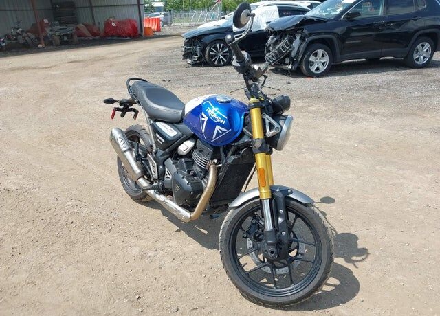 2024 TRIUMPH Speed