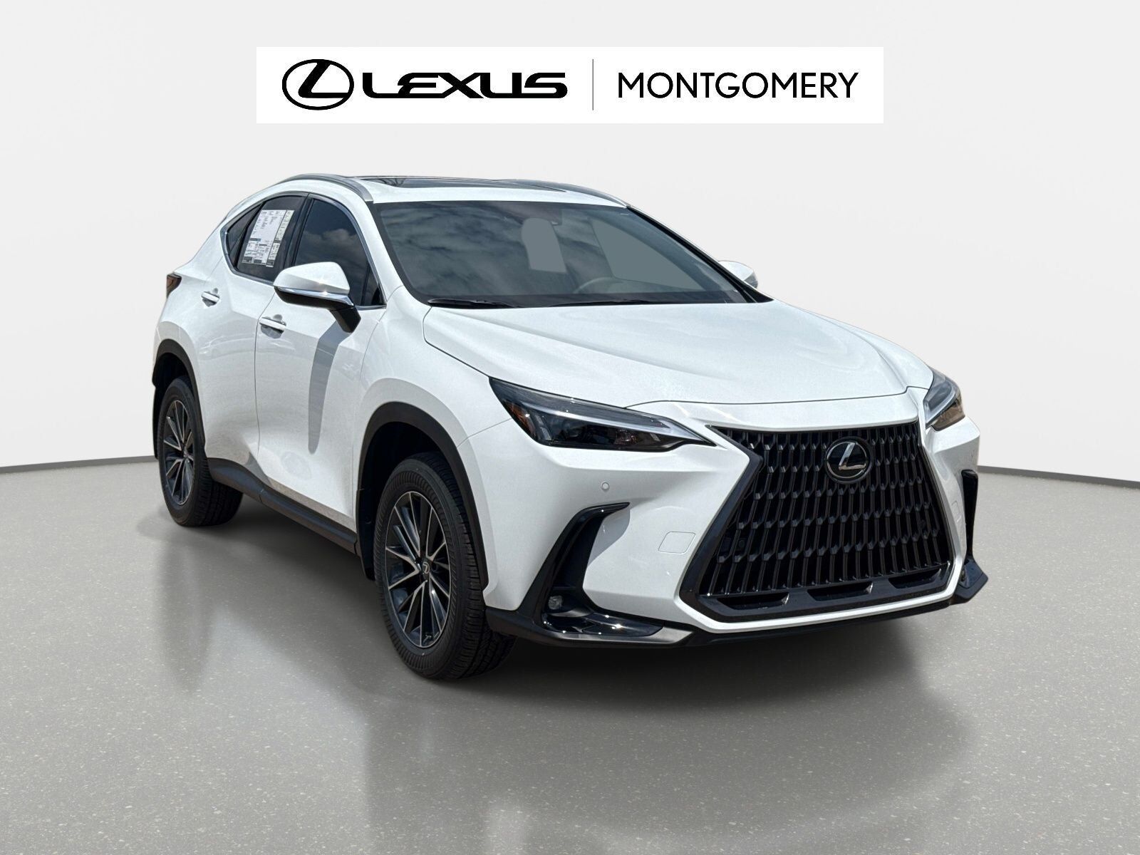 2026 LEXUS NX