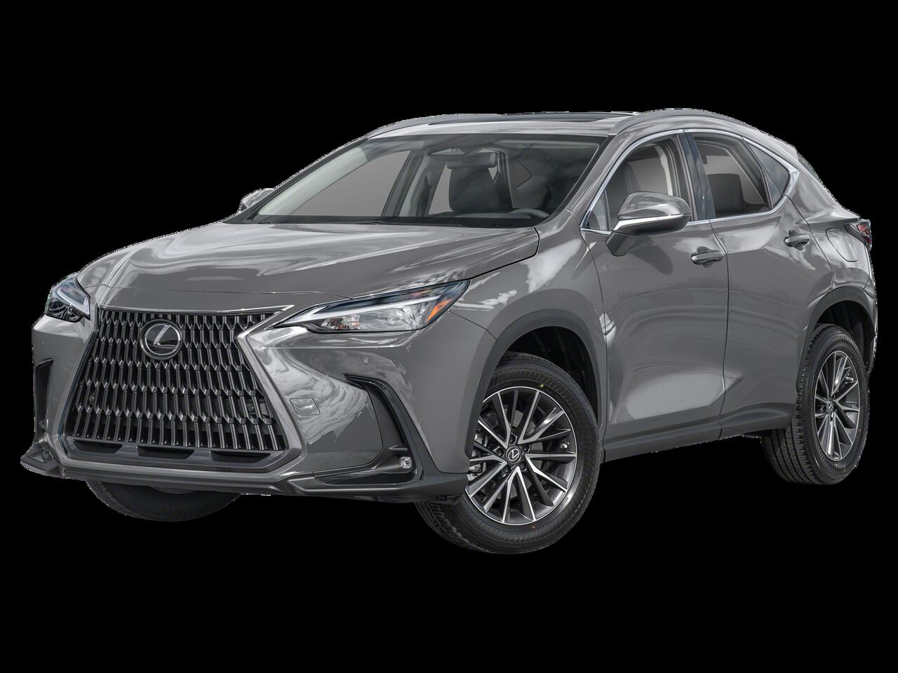 2024 LEXUS NX