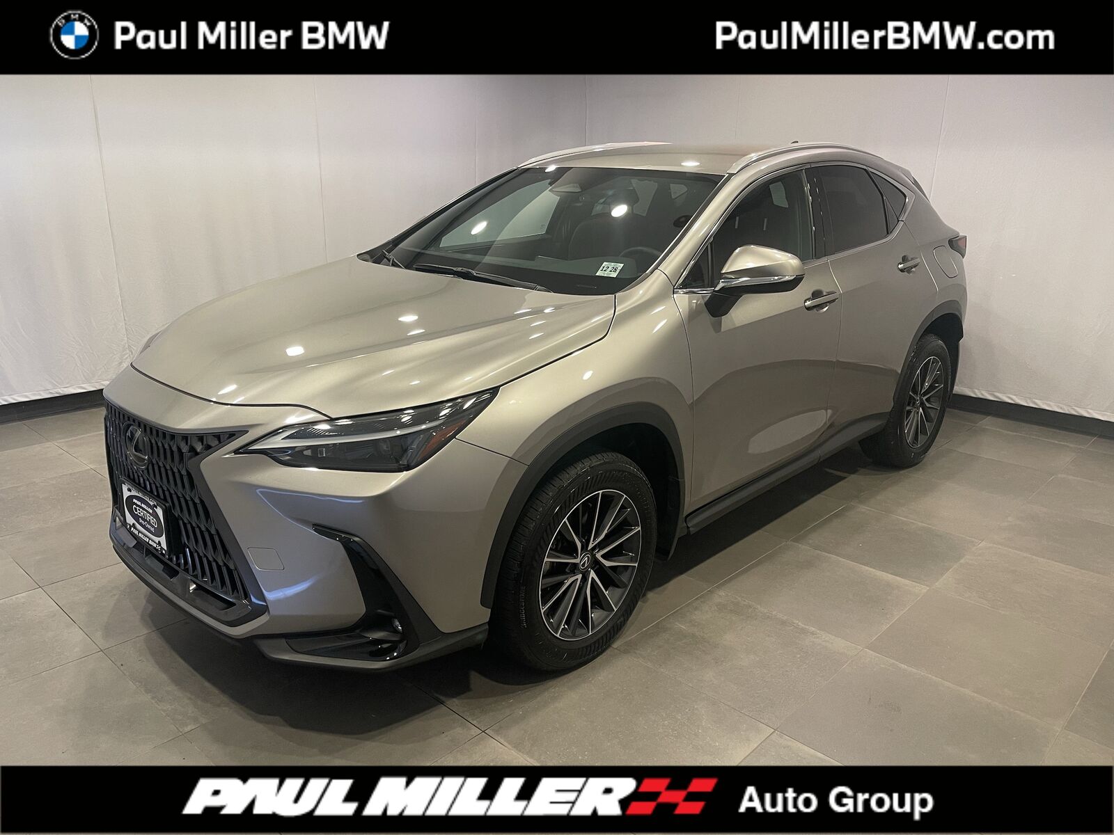 2024 LEXUS NX