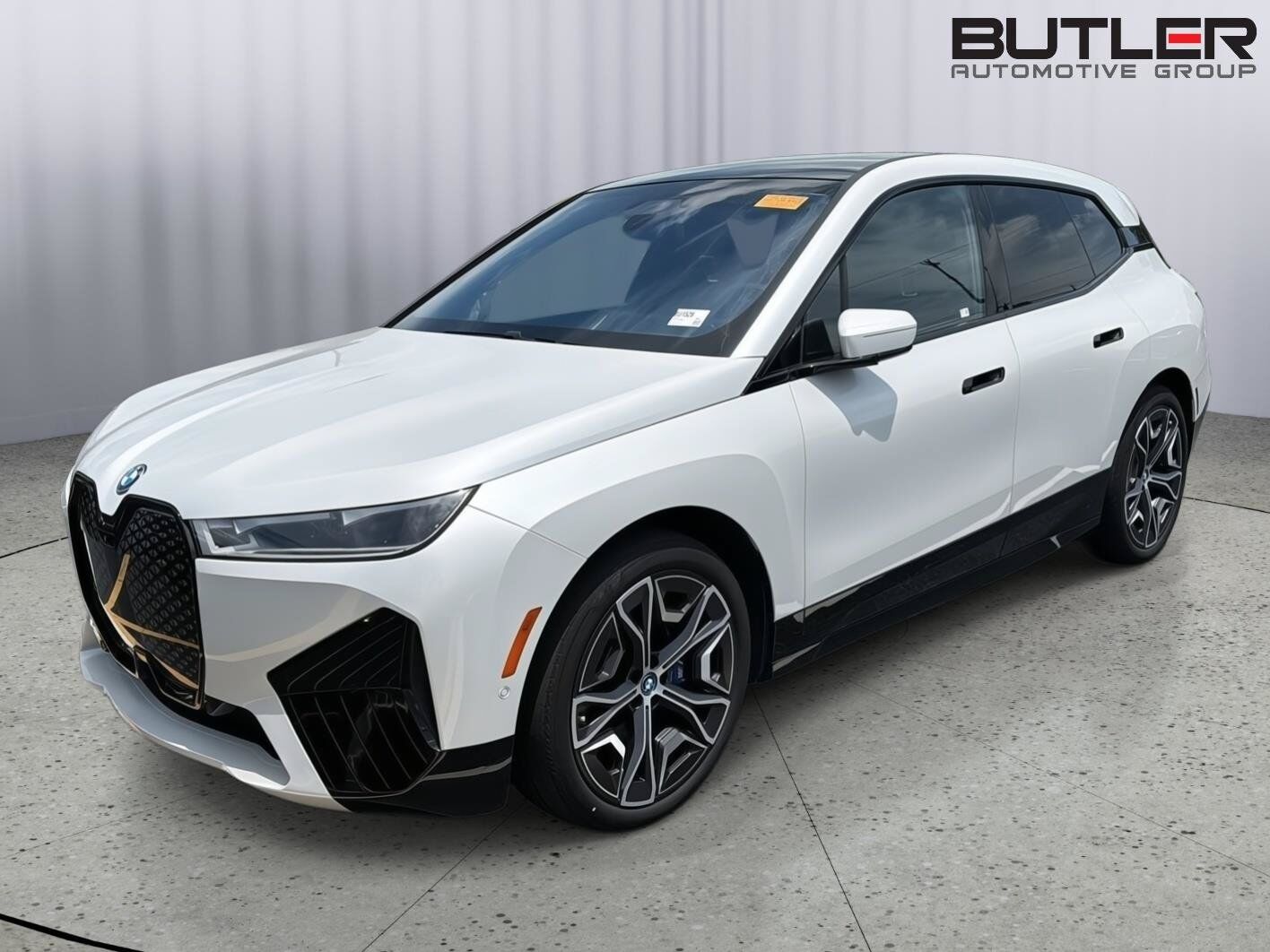 2024 BMW ix