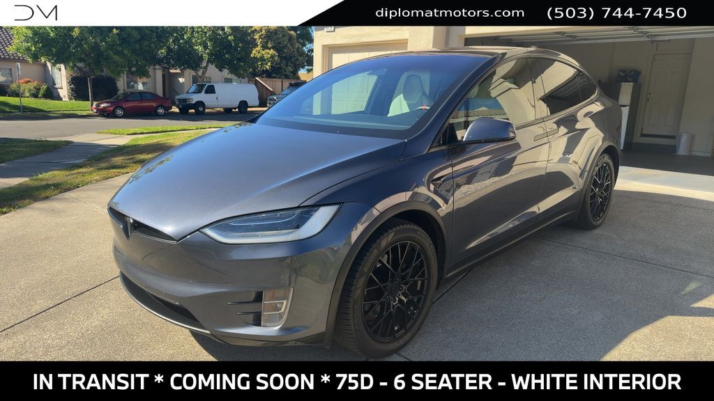2019 TESLA Model X