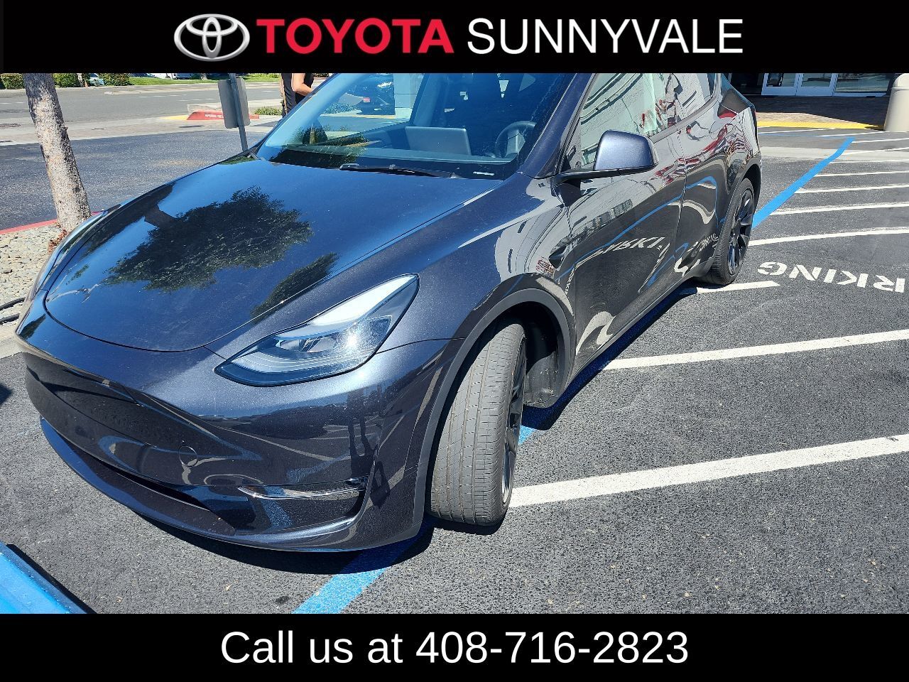 2024 TESLA Model Y