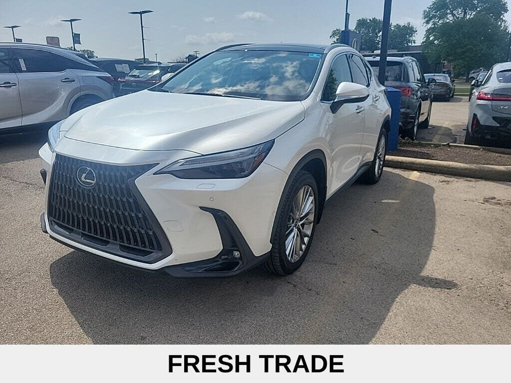 2024 LEXUS NX