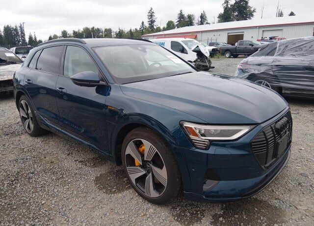 2022 AUDI e-tron