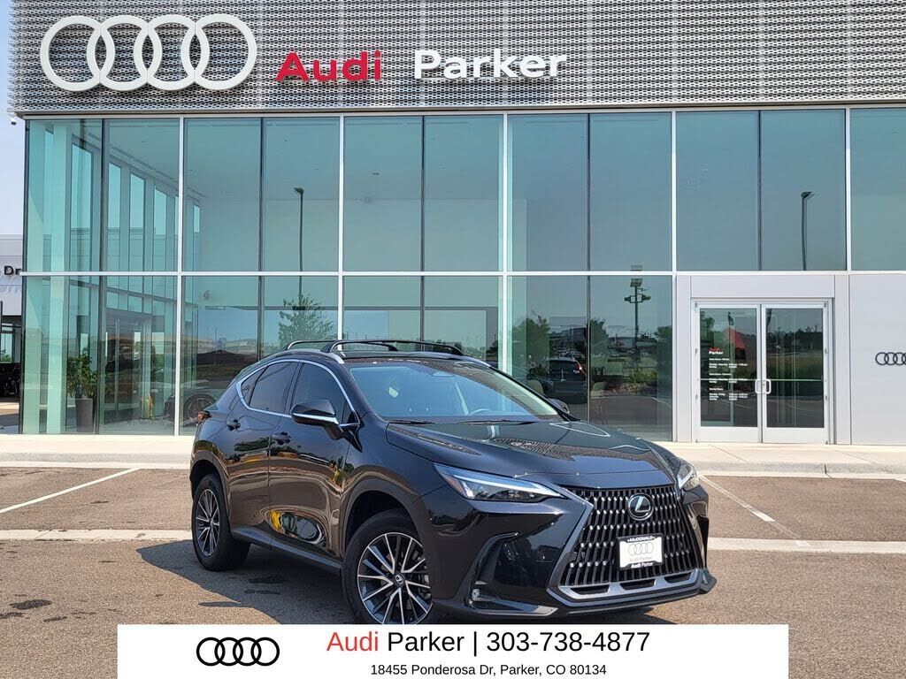 2024 LEXUS NX