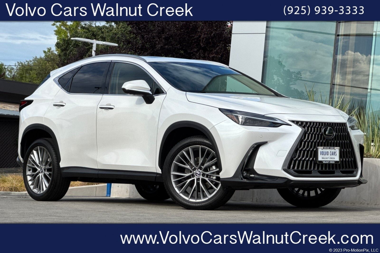 2024 LEXUS NX