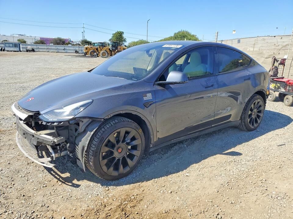 2020 TESLA Model Y