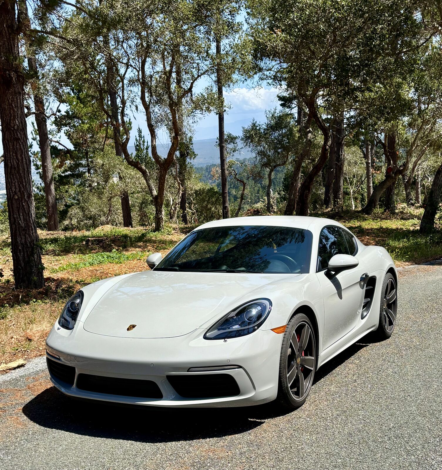 2025 PORSCHE 718
