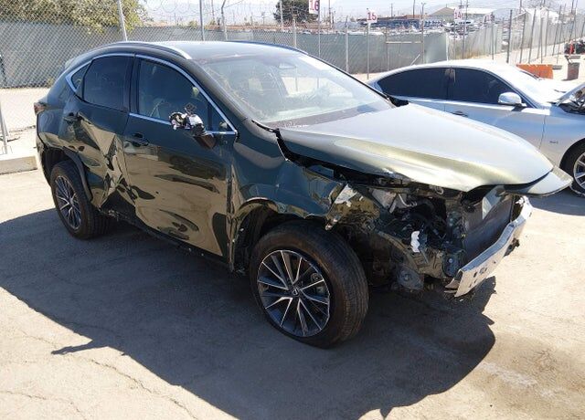 2024 LEXUS NX