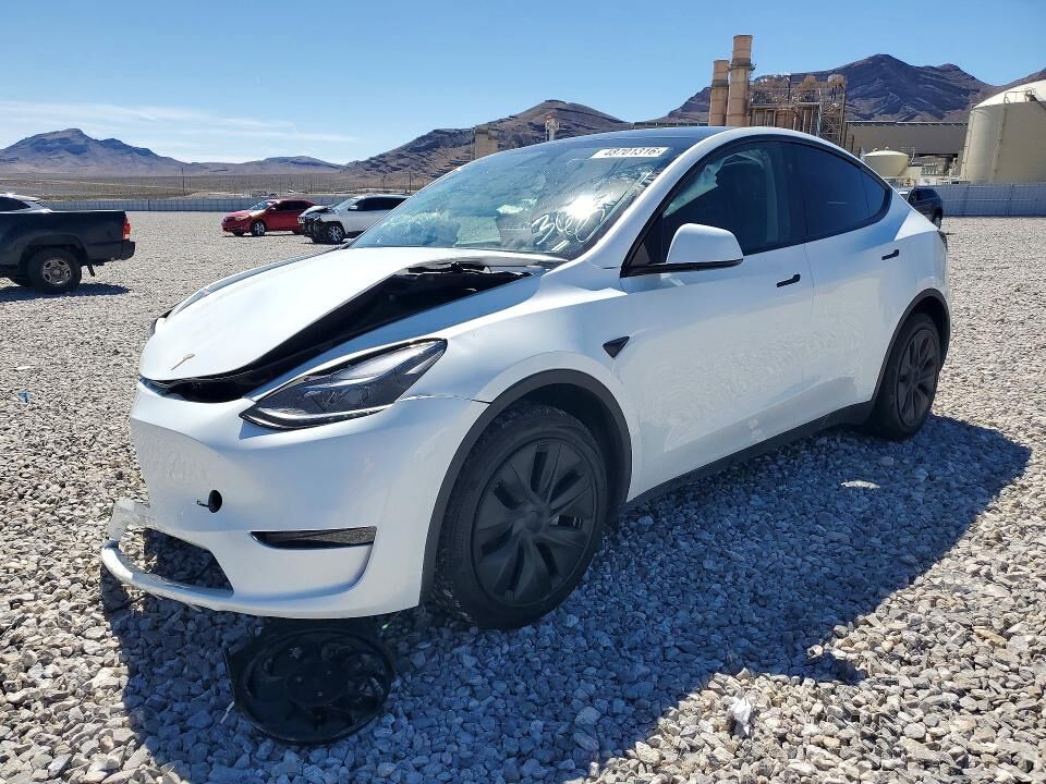 2024 TESLA Model Y