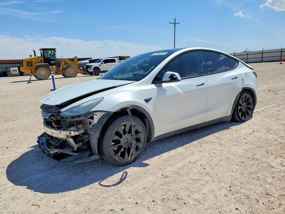 2021 TESLA Model Y
