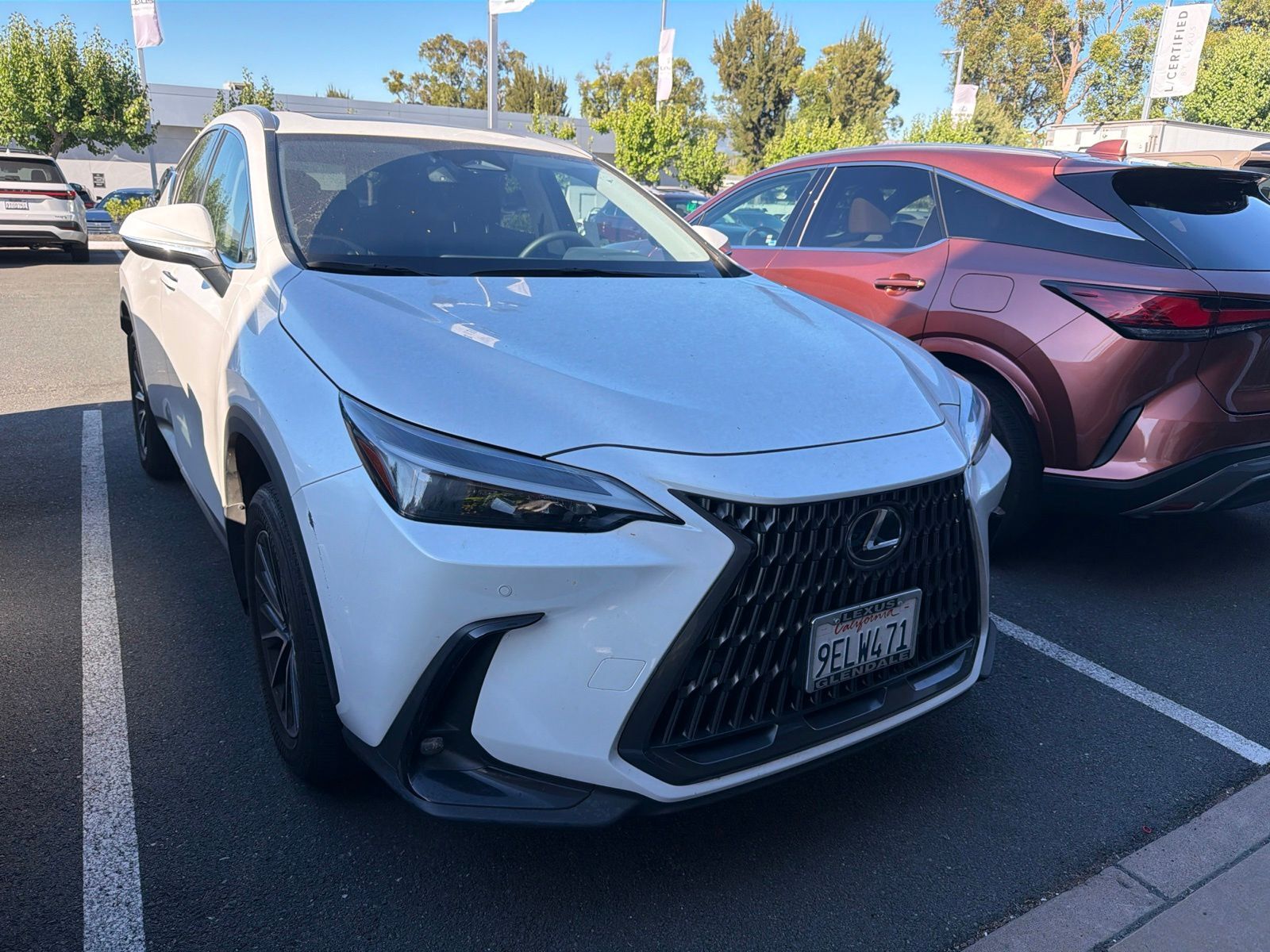 2025 LEXUS NX