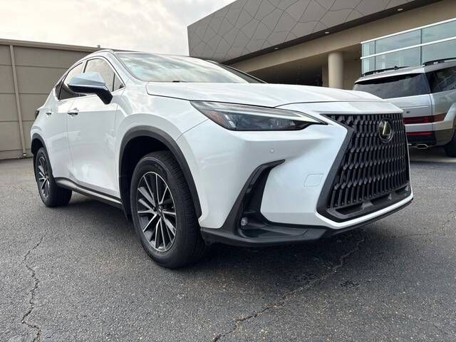 2025 LEXUS NX