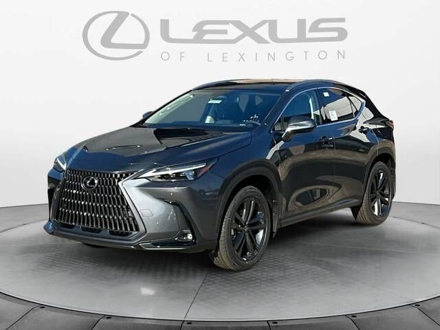 2026 LEXUS NX