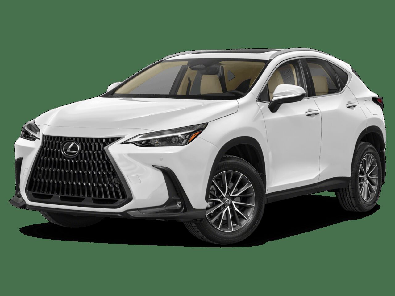 2024 LEXUS NX
