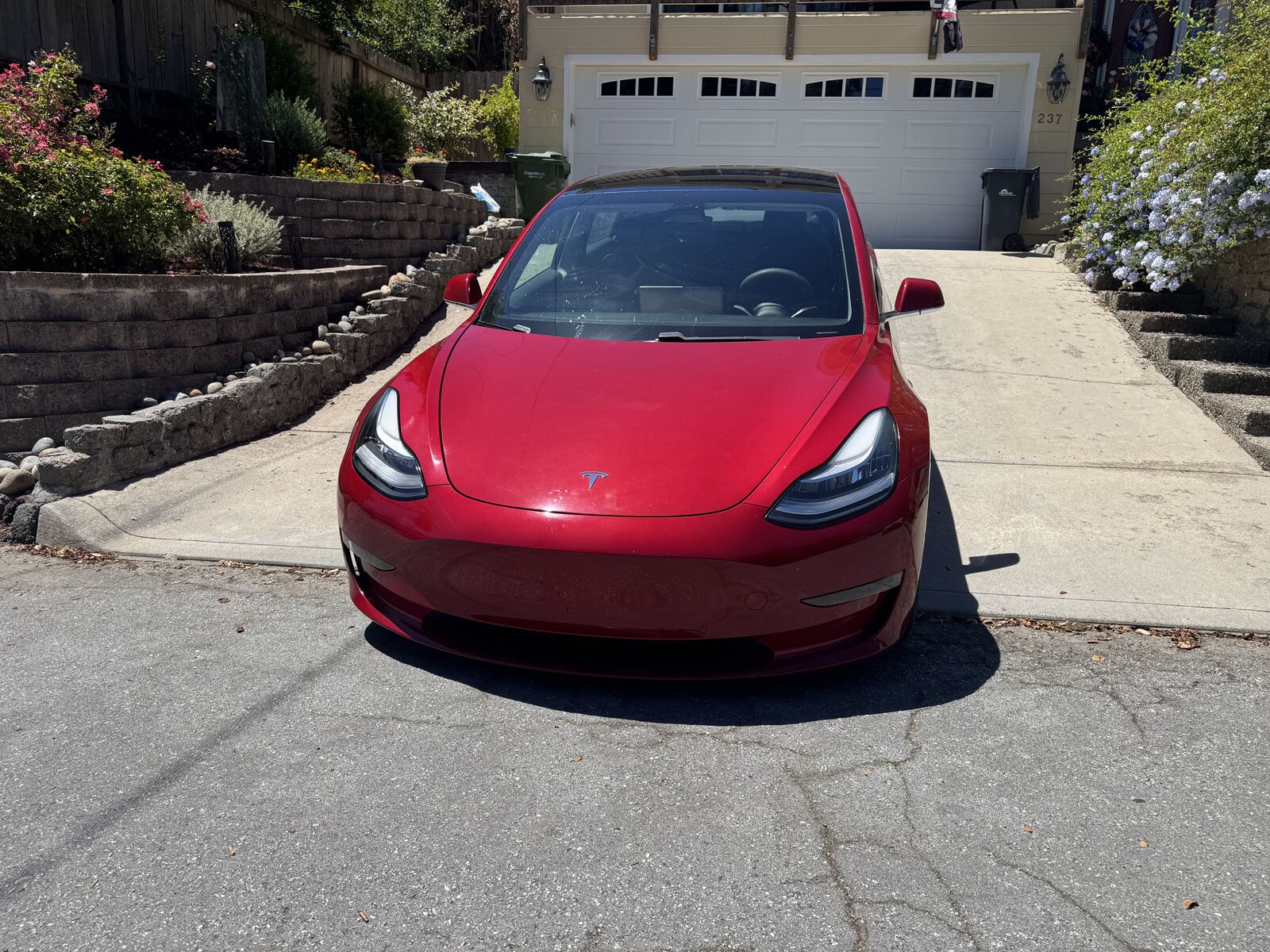 2019 TESLA Model 3