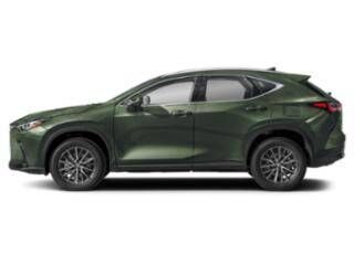 2024 LEXUS NX