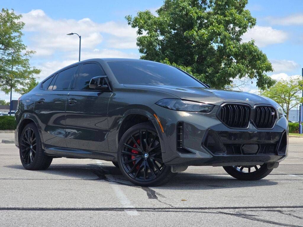 2025 BMW X6