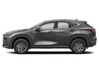 2026 LEXUS NX