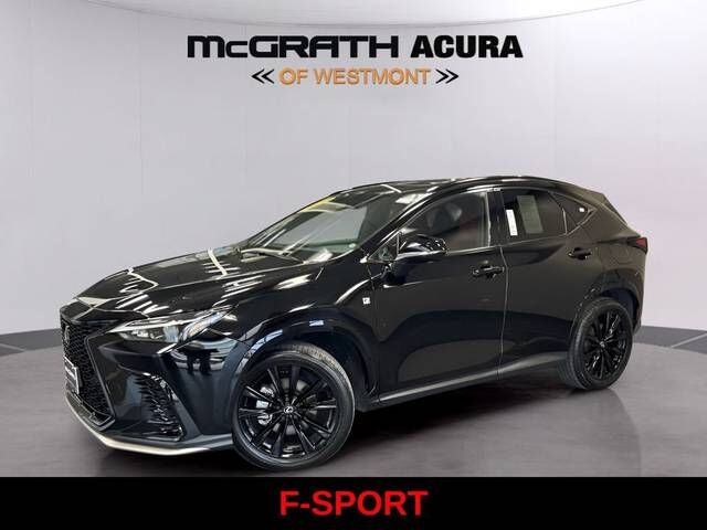 2024 LEXUS NX