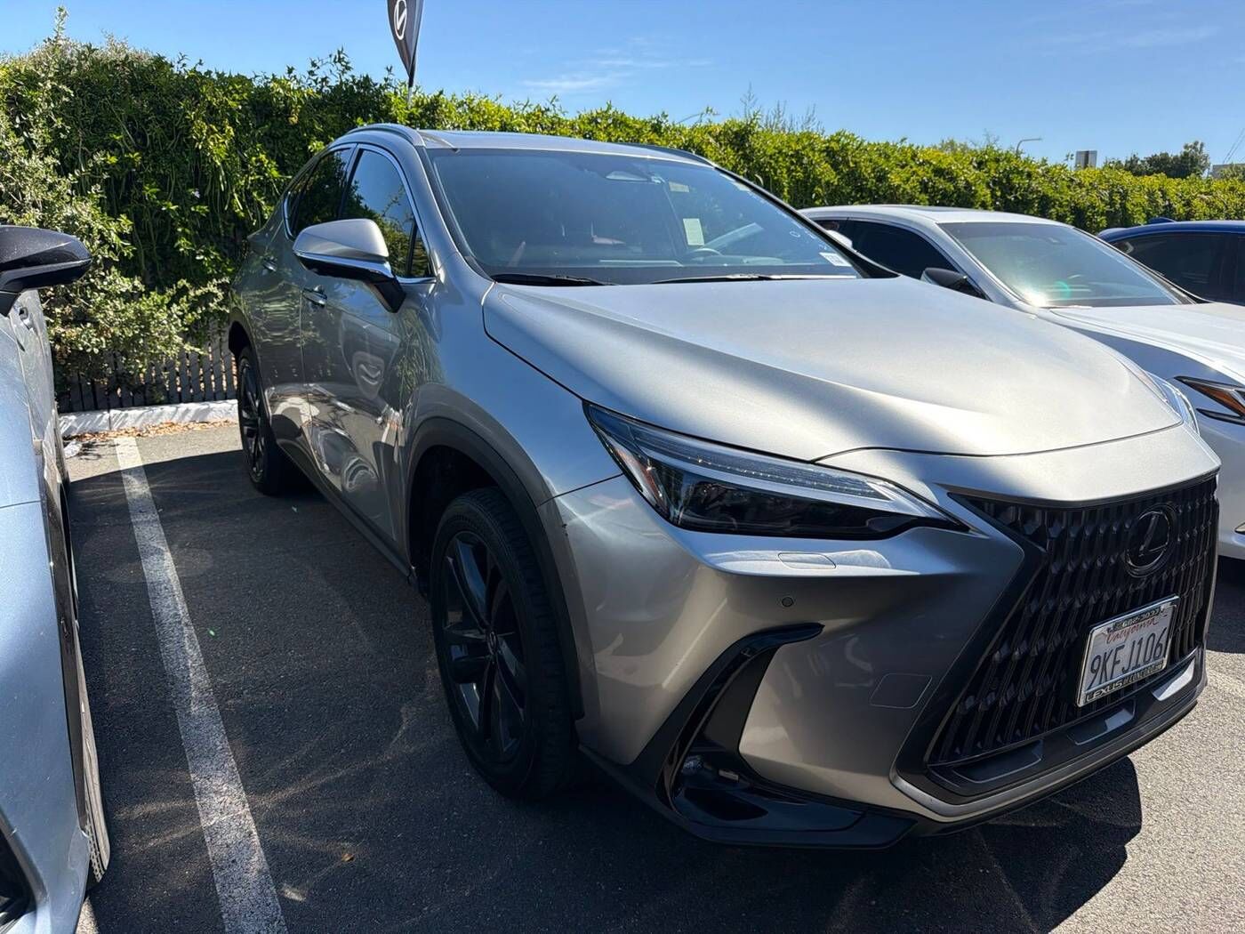 2024 LEXUS NX