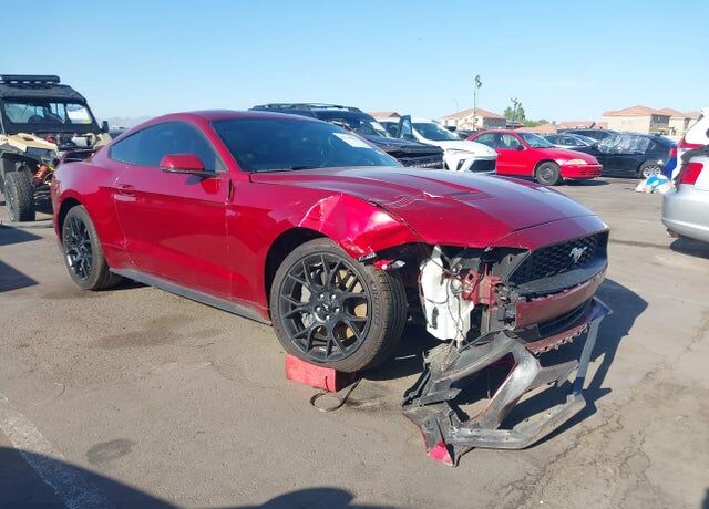 2019 FORD Mustang