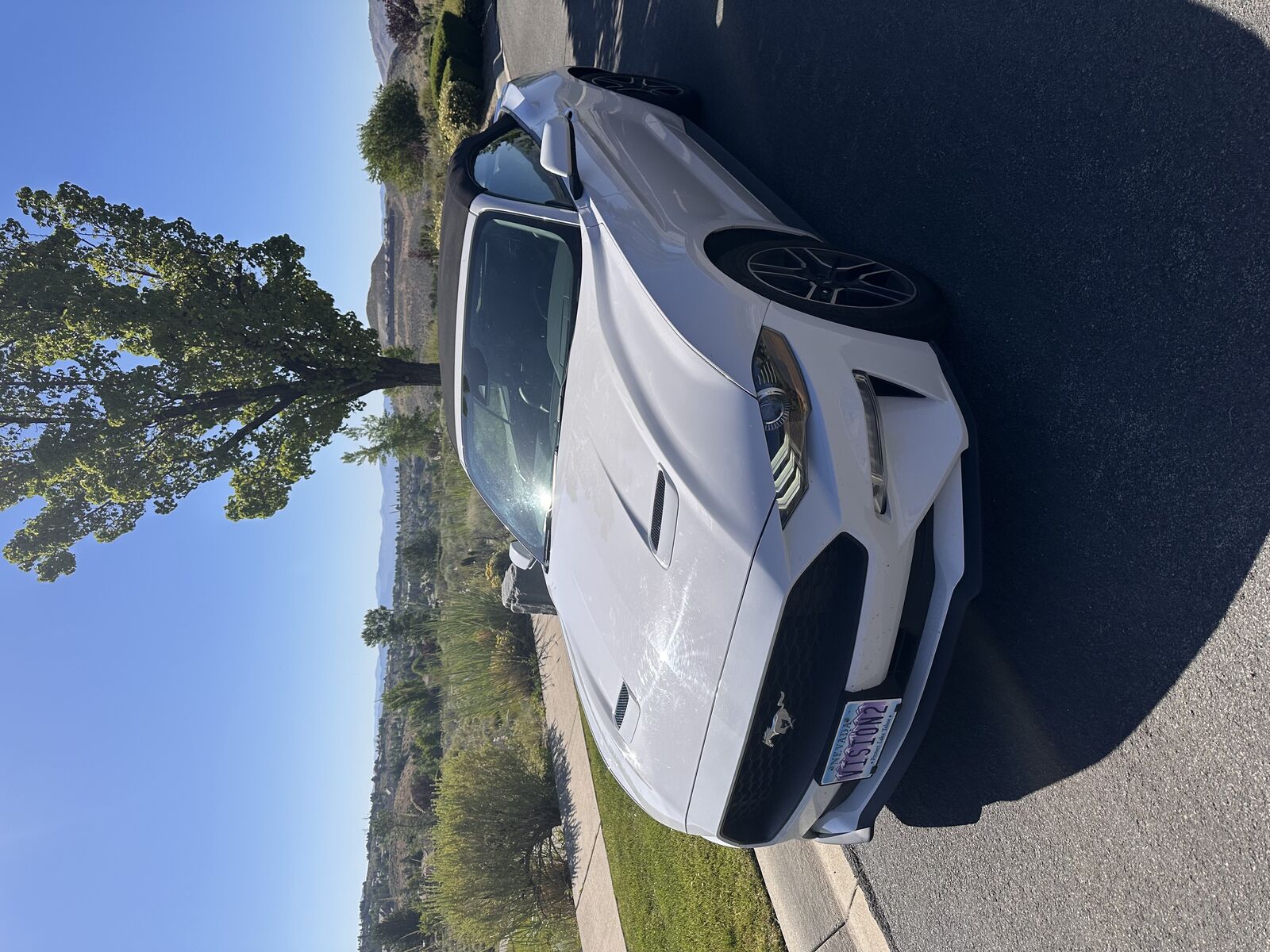 2021 FORD Mustang