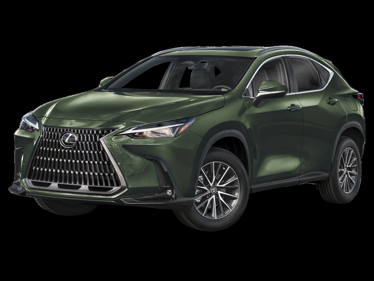 2024 LEXUS NX