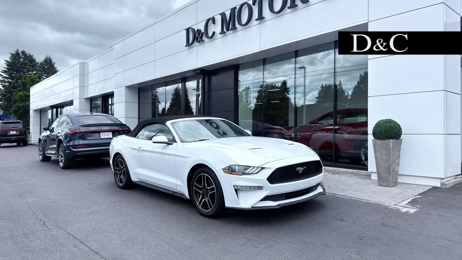2022 FORD Mustang