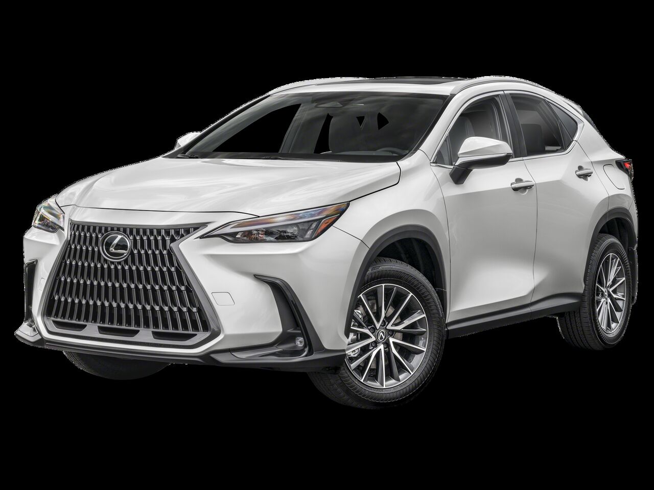 2025 LEXUS NX