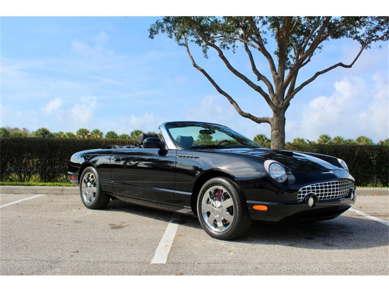 2002 FORD Thunderbird