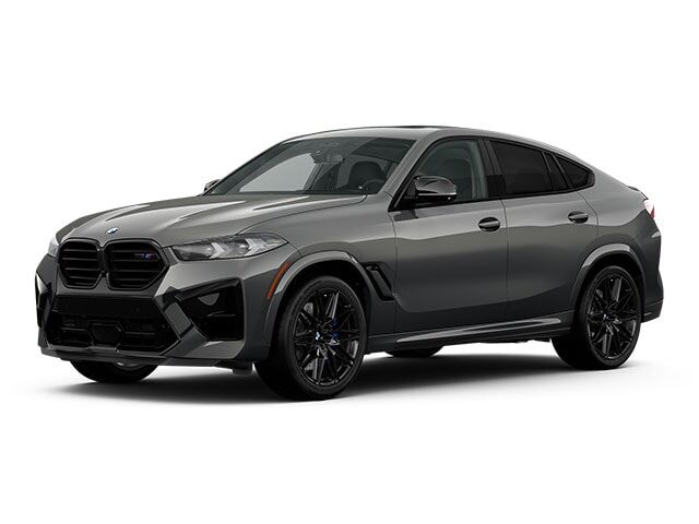 2025 BMW X6