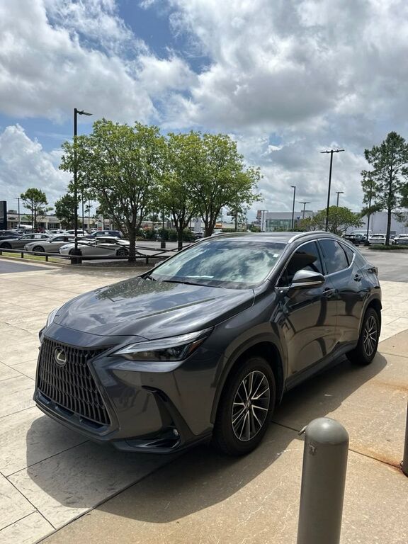 2024 LEXUS NX