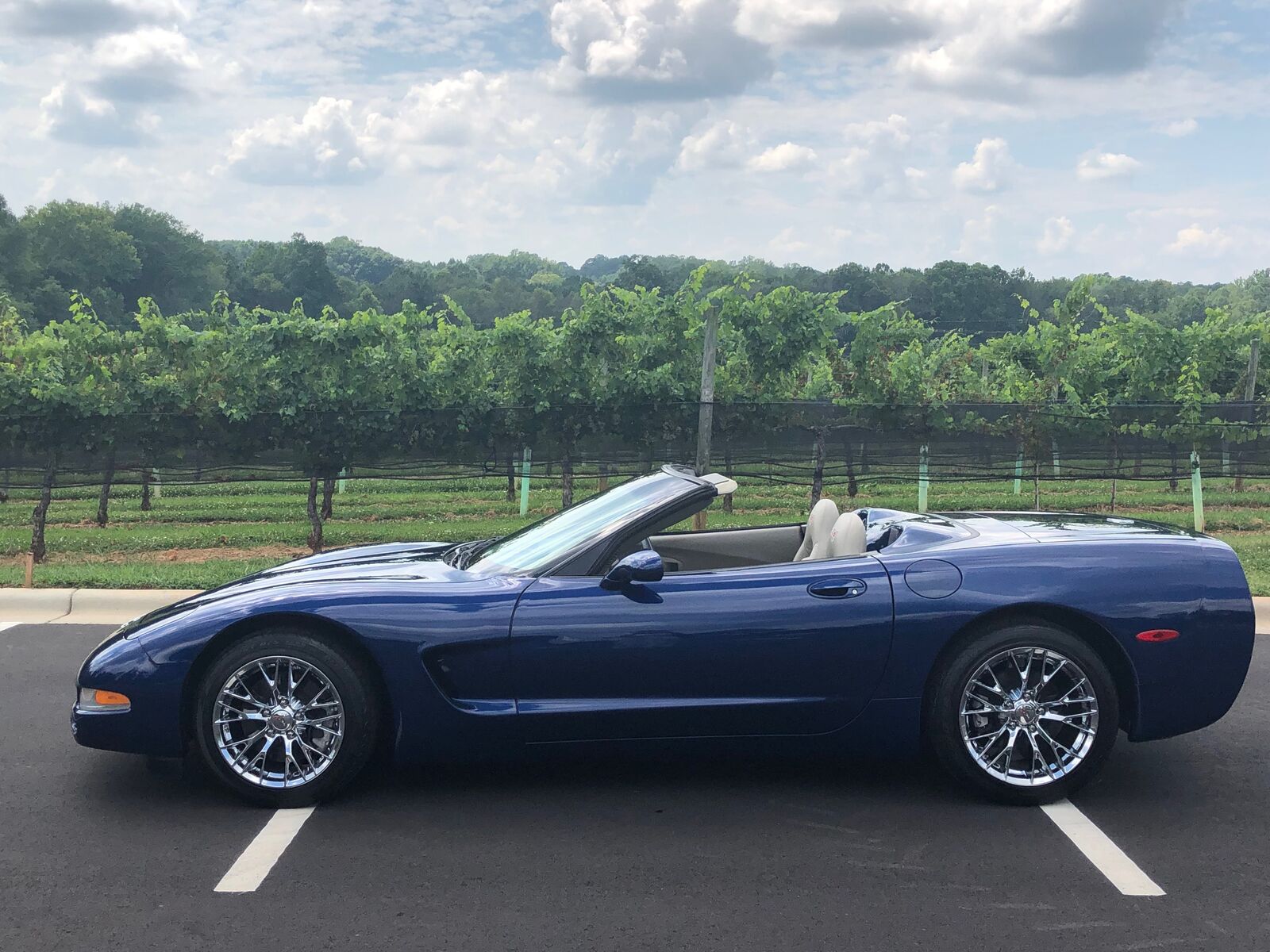 2004 CHEVROLET Corvette